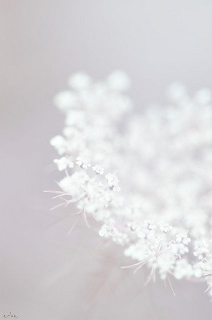 Annexe d68d99cef08d5c27aab6ea6badb9eb0c.jpg