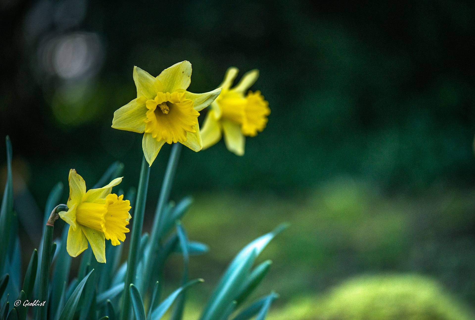 Annexe 28337504_10215659798589920_9167572935910895484_o.jpg