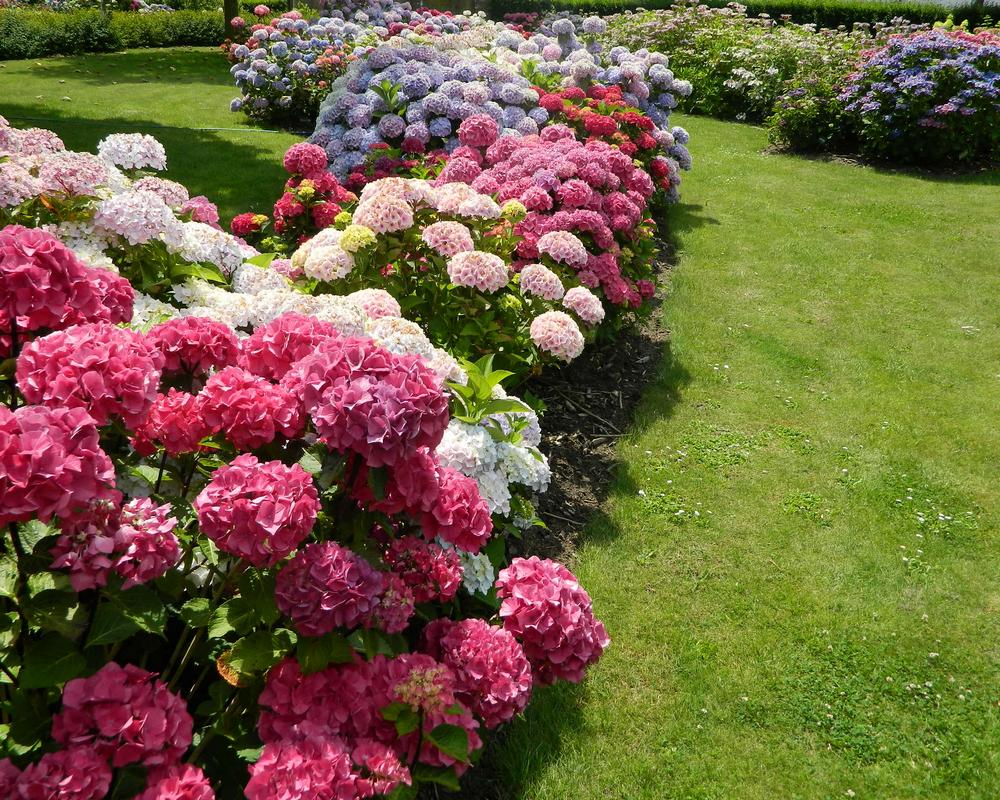 Annexe C39AA85D-A919-4785-94CA-9C2FDDAB457E.jpeg