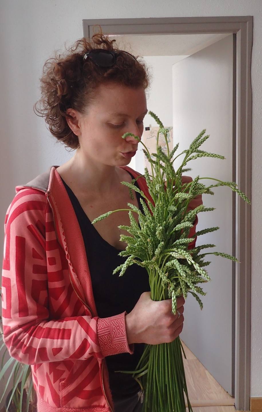 Annexe ornithogales.JPG