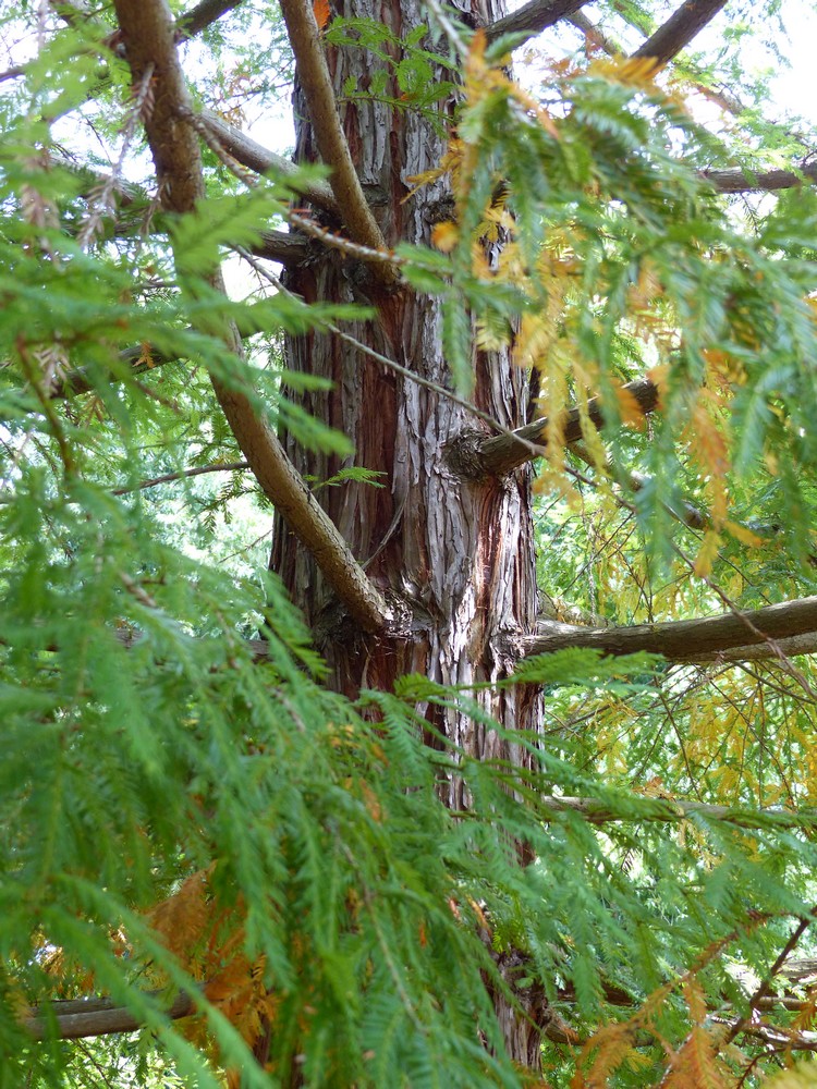 Annexe P1090762 - Copie.JPG