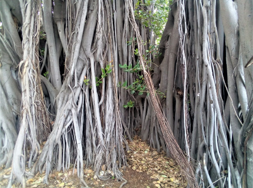 Annexe 2018-04-03_005503.png