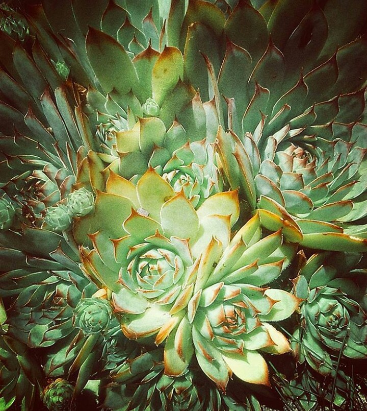 Annexe IMG_20180403_235851.jpg