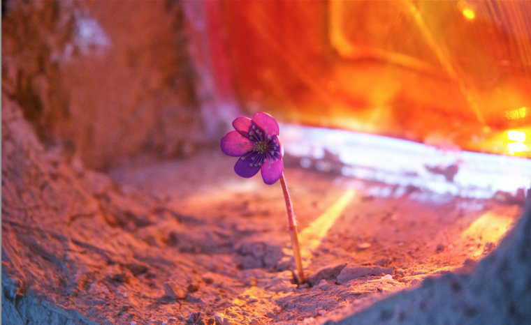 Annexe Capture d’écran 2018-04-04 à 14.53.07.png