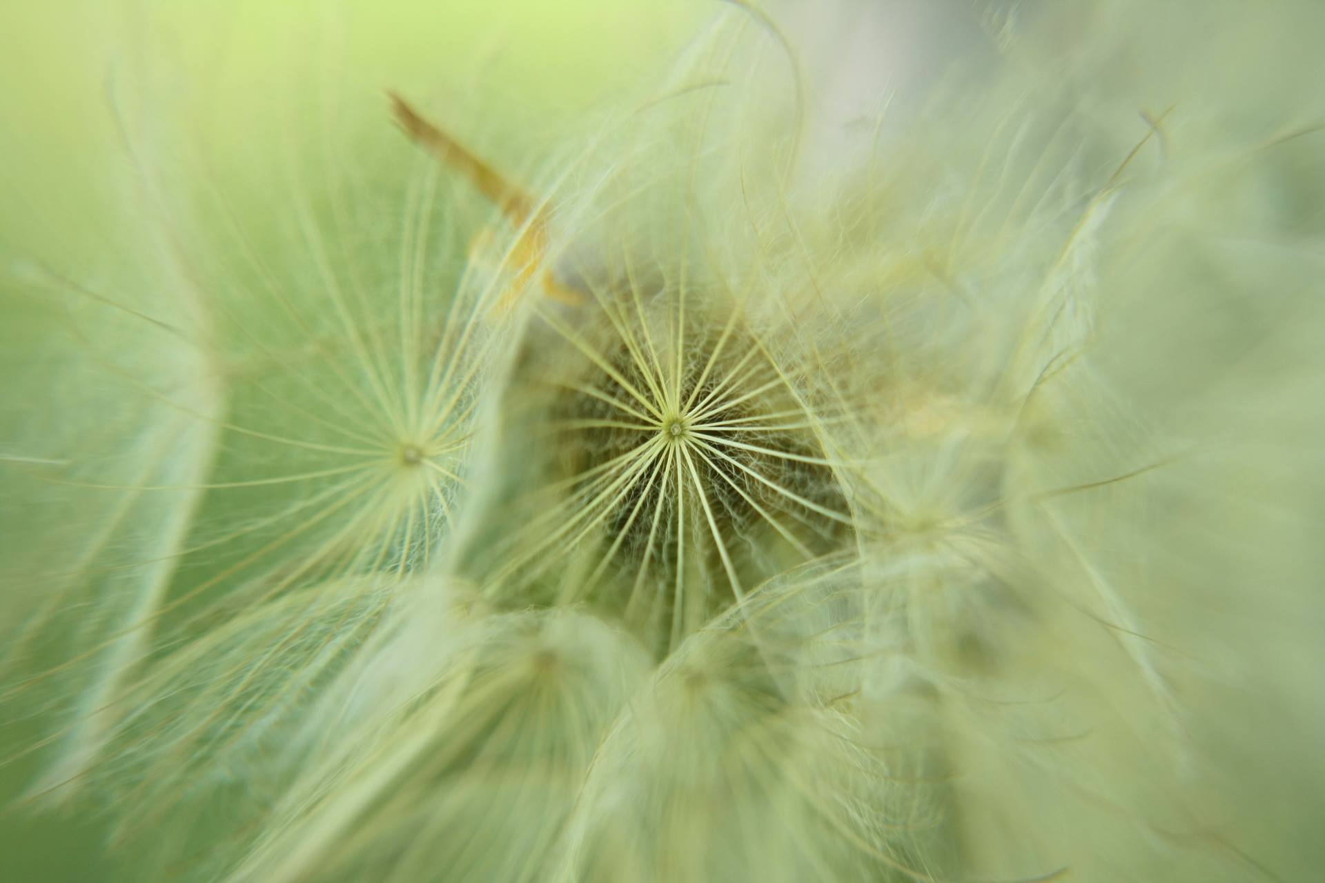 Annexe 10455024_1049414555097902_853931827367484947_o.jpg