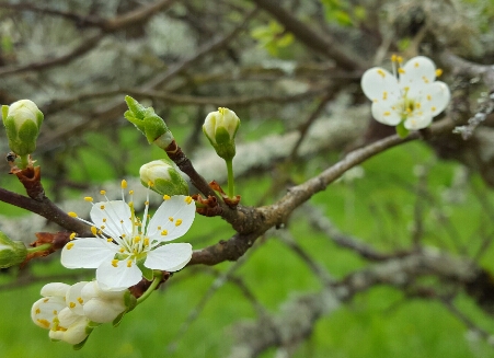 Annexe 20180416_153933b.jpg