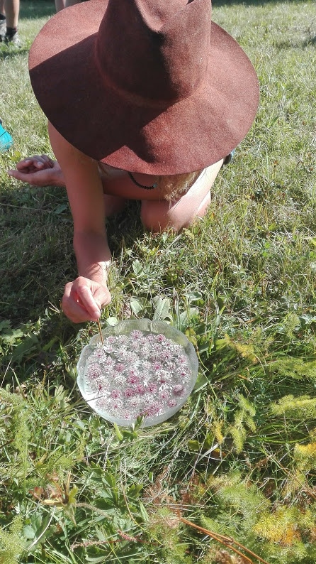 Annexe IMG_20170804_093648.jpg