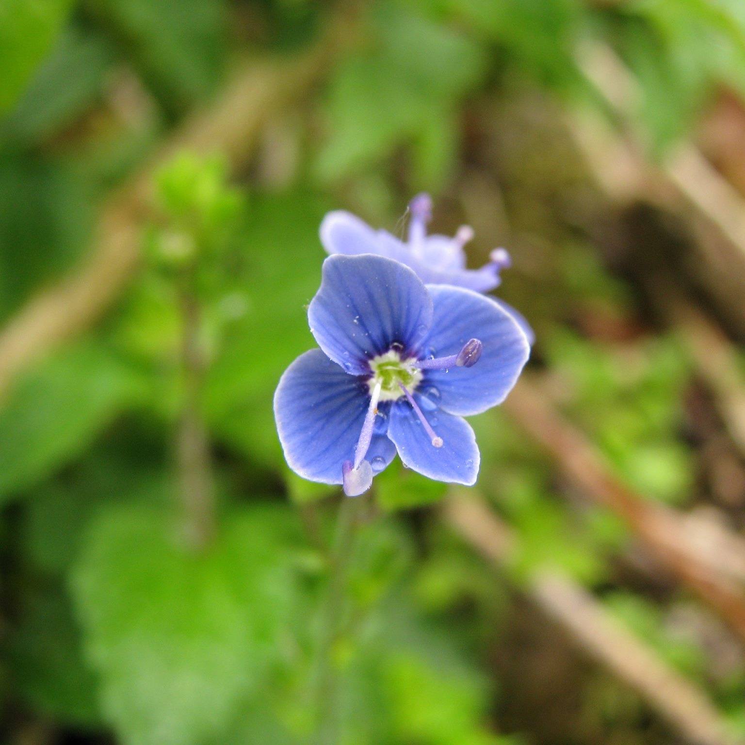 Annexe 17157640_1384592364912428_4055949565675367913_o.jpg