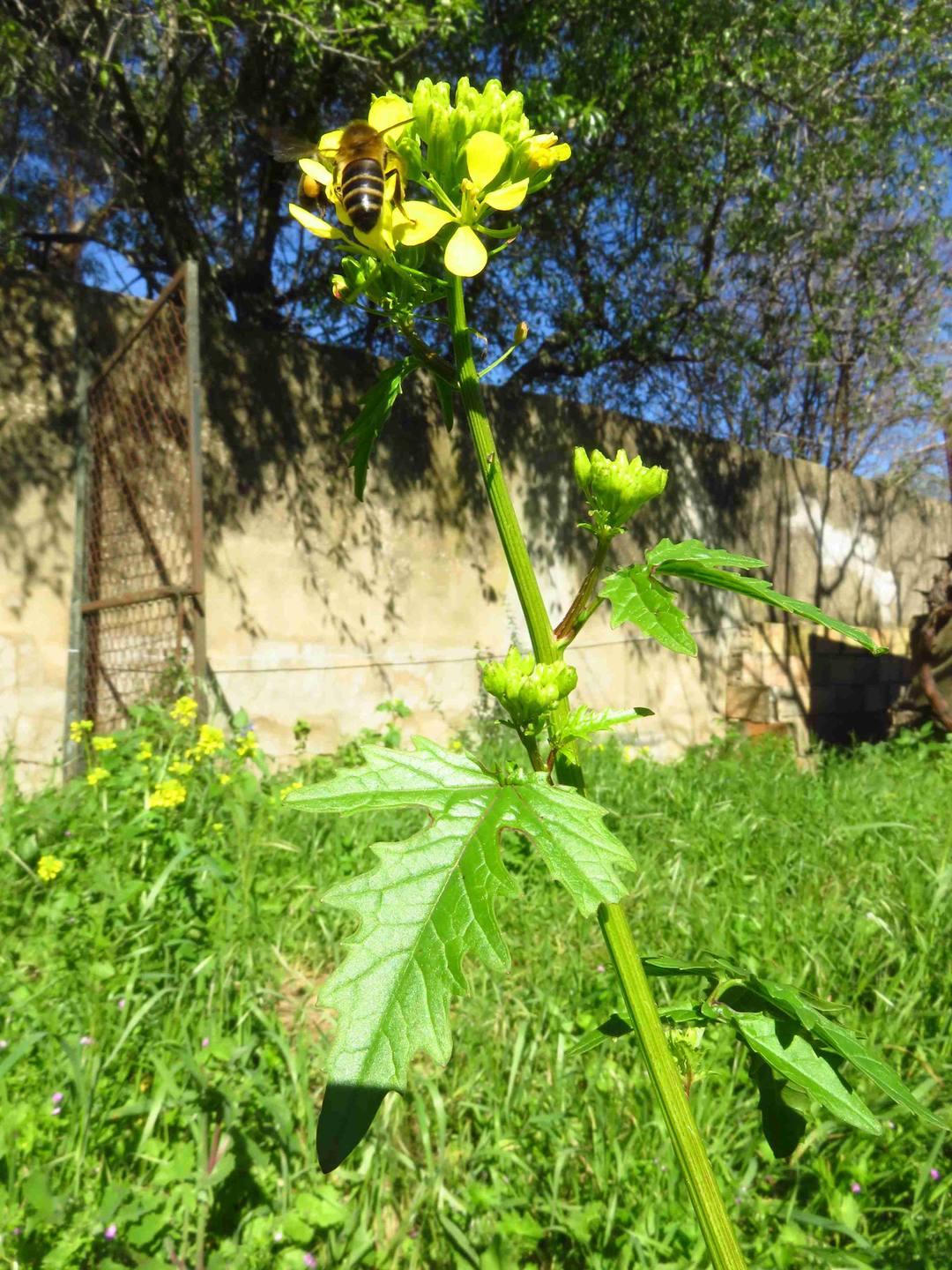 Annexe web_IMG_6835.jpg