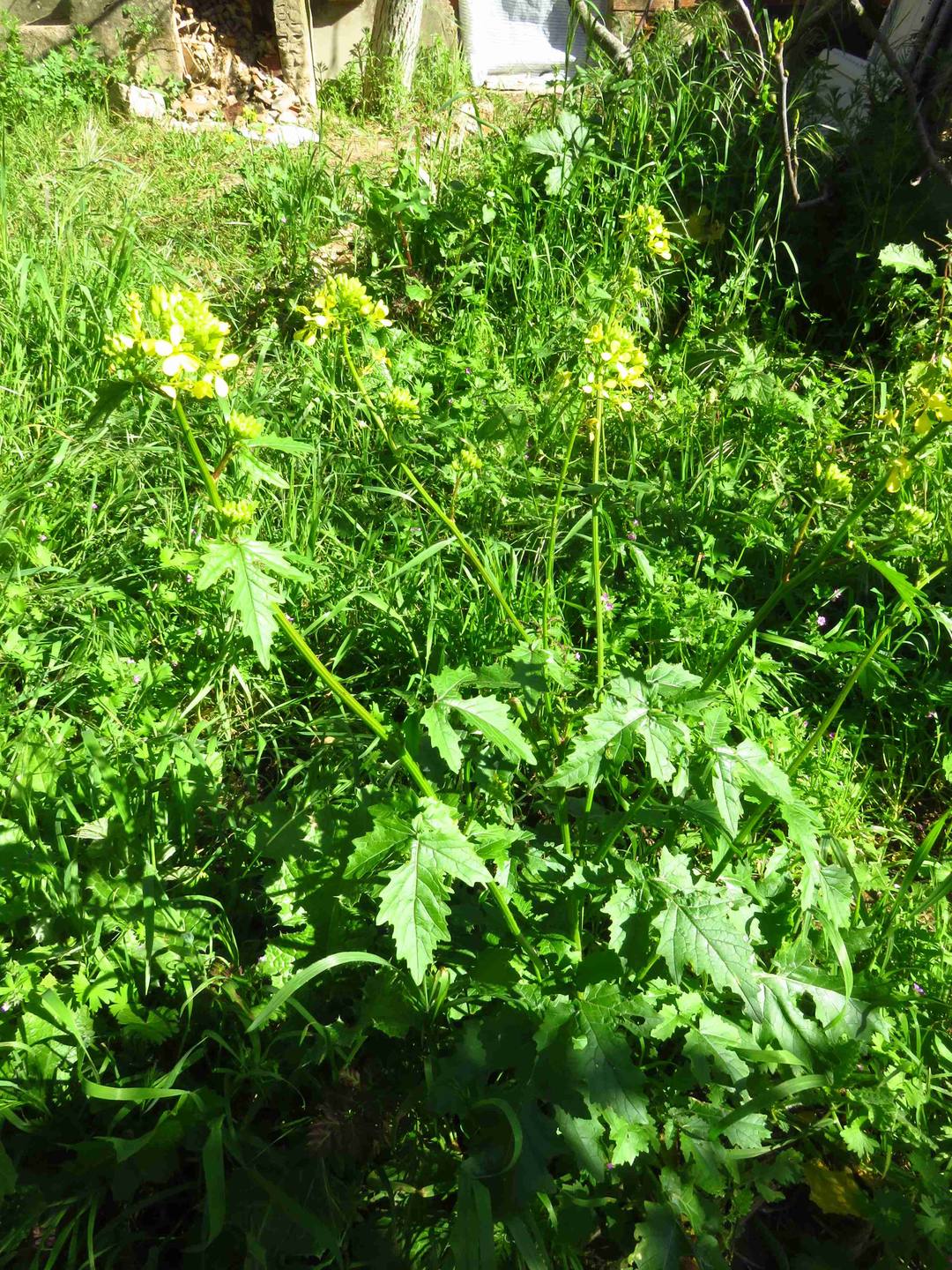 Annexe web_IMG_6837.jpg