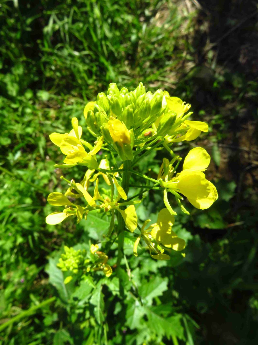 Annexe web_IMG_6839.jpg