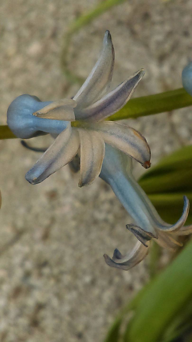 Annexe 29633321_788876514633089_1401634700_o.jpg