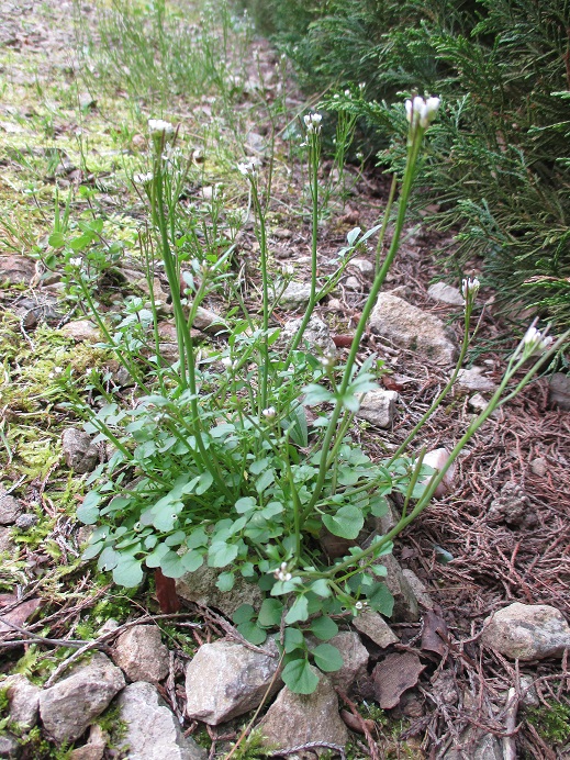 Annexe IMG_0010 1.jpg