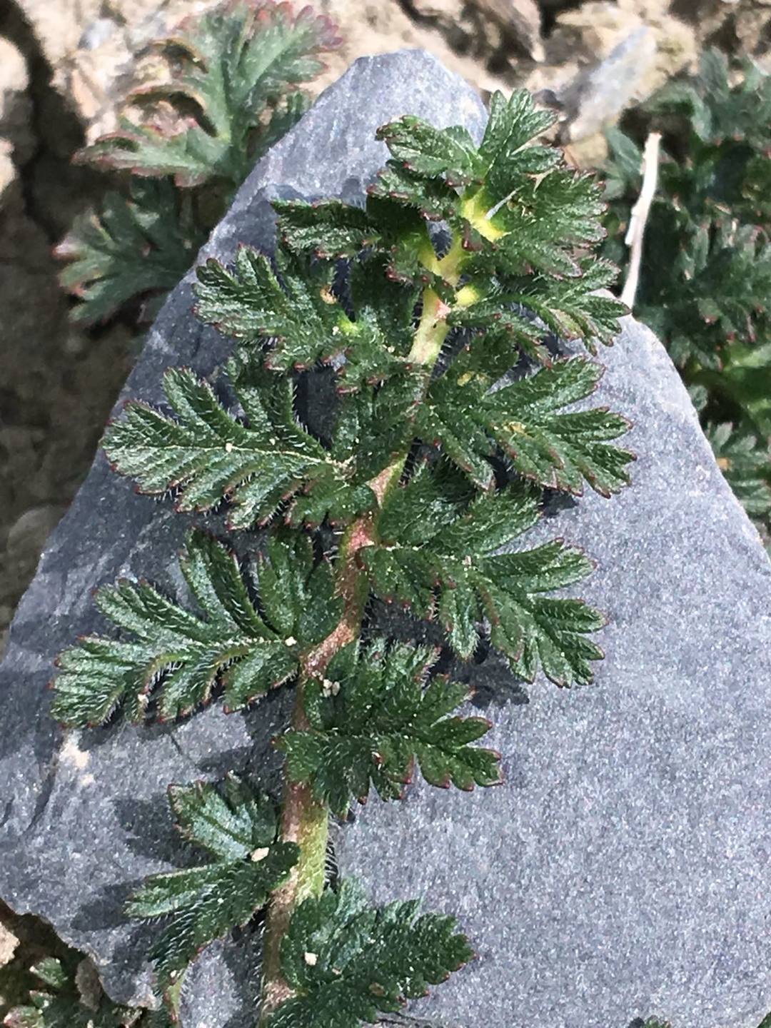 Annexe 3eb83fec-a178-4c4f-9be6-417555cc9974.jpg