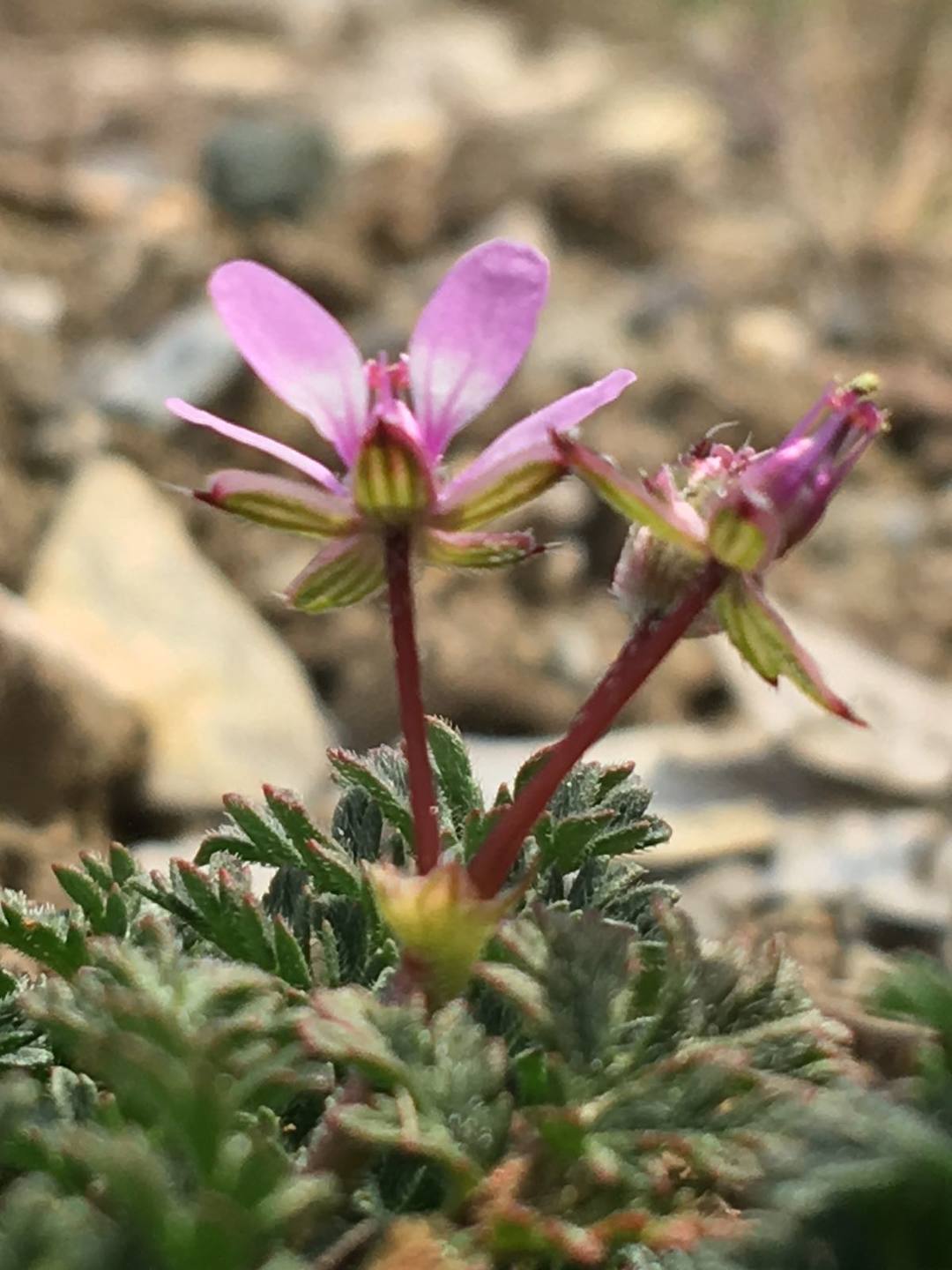 Annexe 71179958-6be9-4dda-9f80-ea01f77ab408.jpg