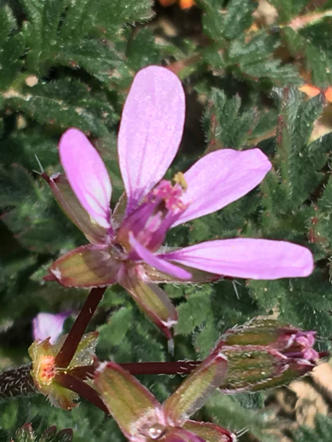 Annexe e7e579e7-2bd9-42c5-b0b4-8f11d1ebf60c.jpg