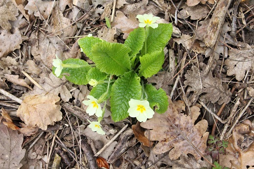 Annexe IMG_33391 (3).jpg