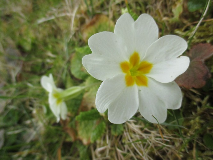 Annexe IMG_4578 1.jpg