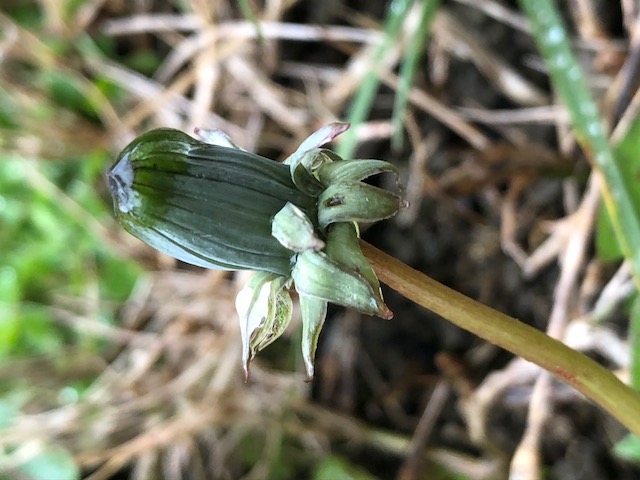 Annexe 012678B5-695F-4DA7-869A-1DE0A37B5FCD.jpeg