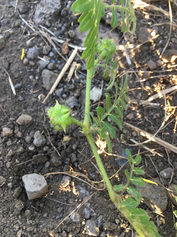 Annexe IMG_0769.jpeg