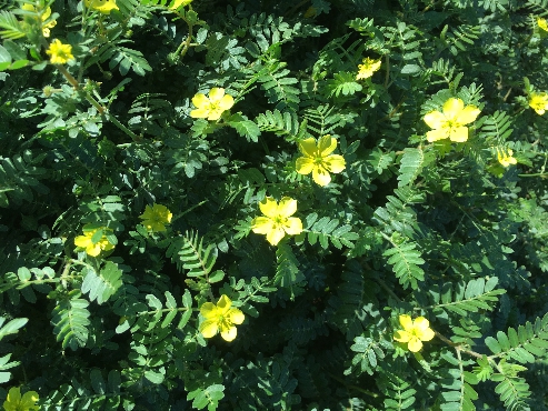 Annexe LastPicture.jpeg