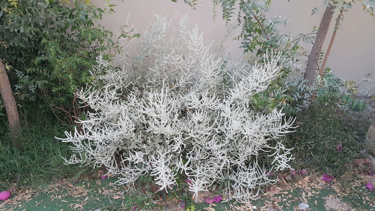 Annexe 1946ee8b-e8b1-4418-9595-3684dc85002e.jpg