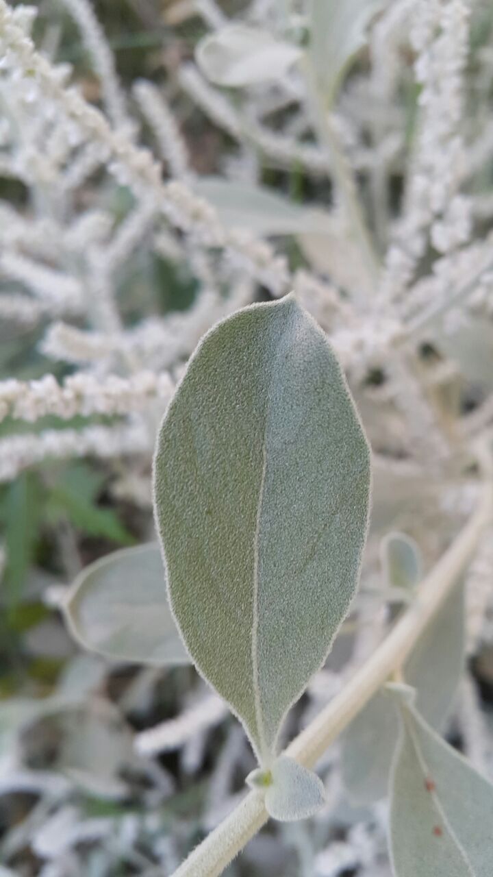 Annexe eebc5085-2a6b-4ea1-98b7-da4cf20b9342.jpg