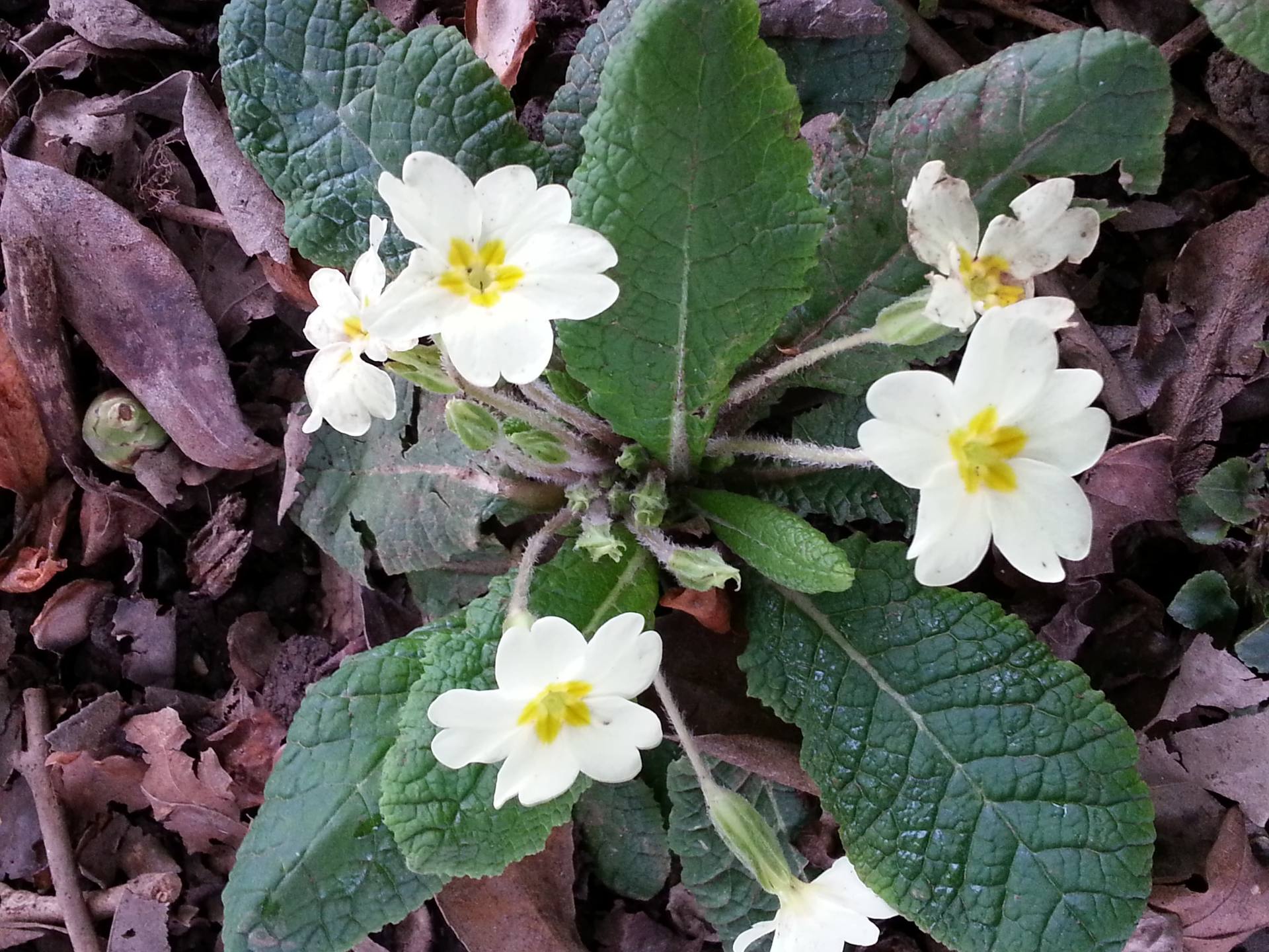 Annexe 2018-03-26 18.20.40-min.jpg