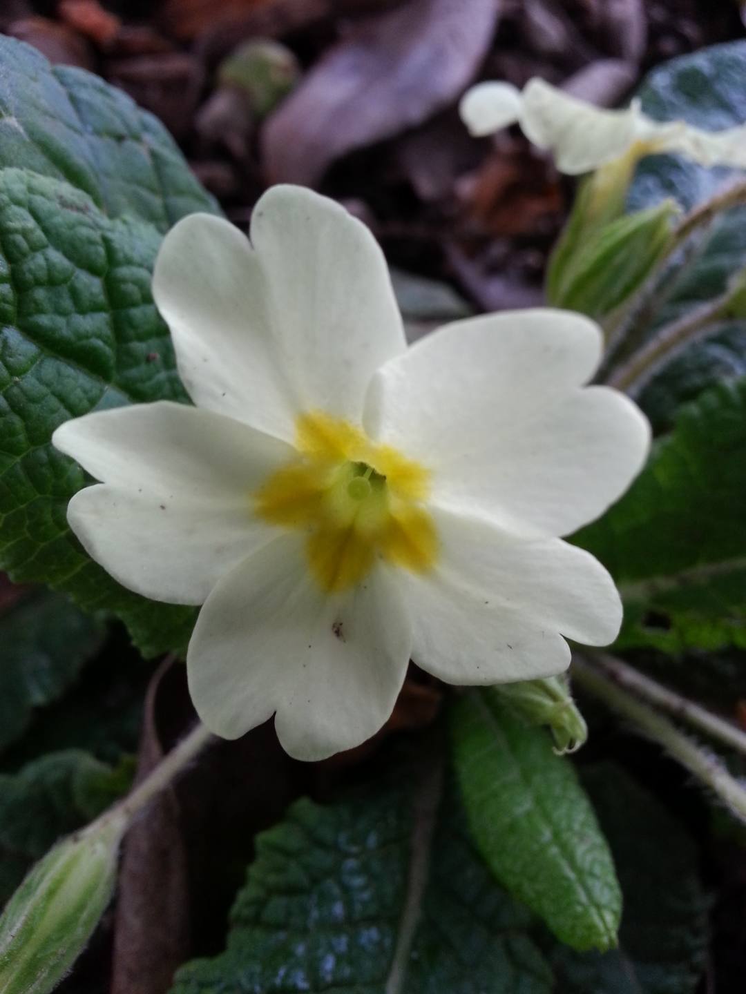 Annexe 2018-03-26 18.21.32-min.jpg