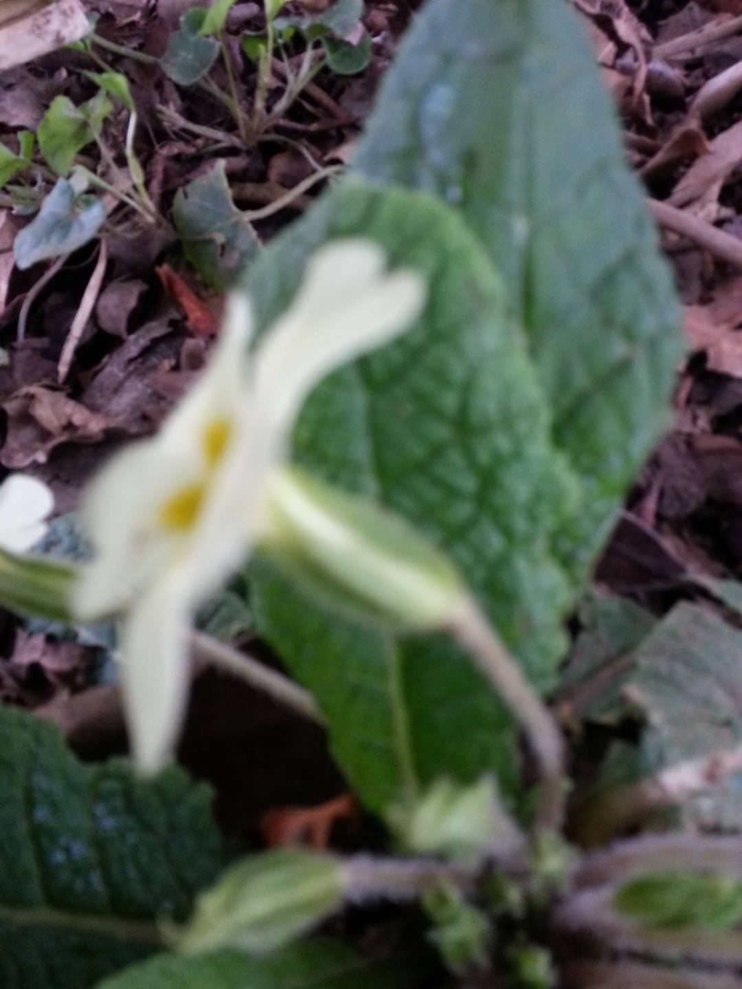 Annexe 2018-03-26 18.21.48-min.jpg