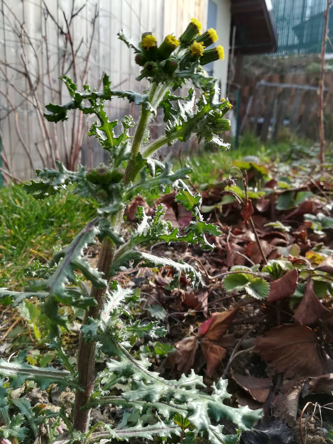 Annexe IMG_20180327_100454-ConvertImage-3.jpg