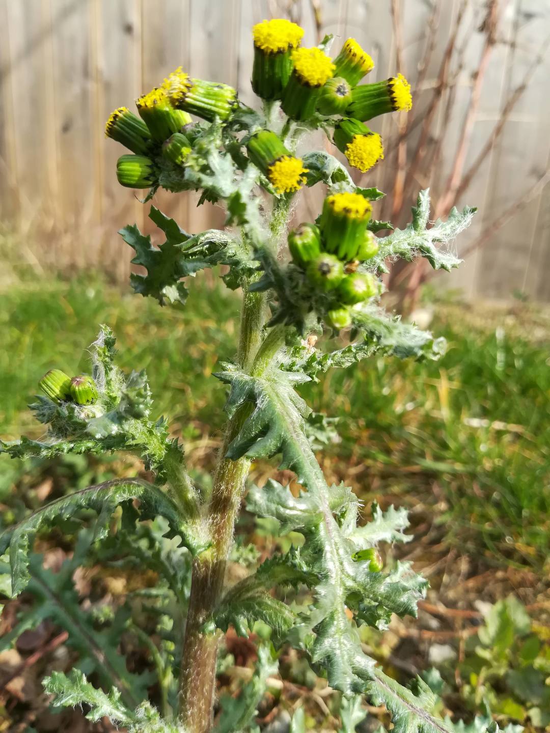 Annexe IMG_20180327_100535-ConvertImage.jpg