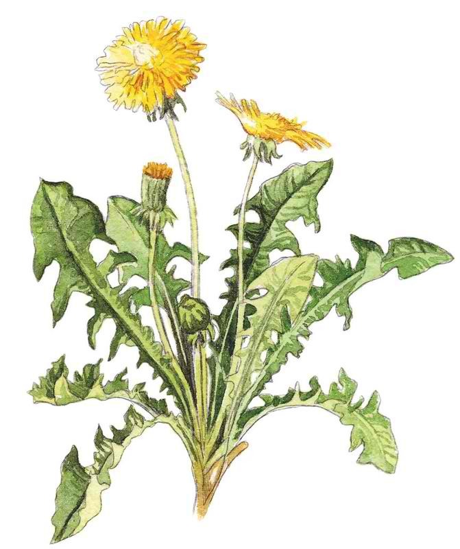 Annexe b_1_q_0_p_03AAG2W6E.jpg