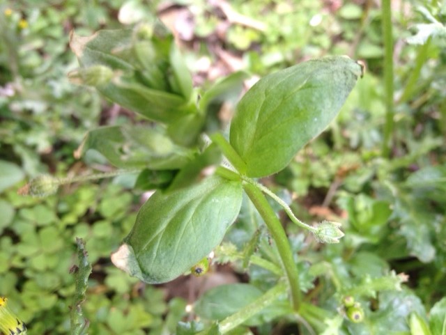 Annexe thumbnail_IMG_3332.jpg