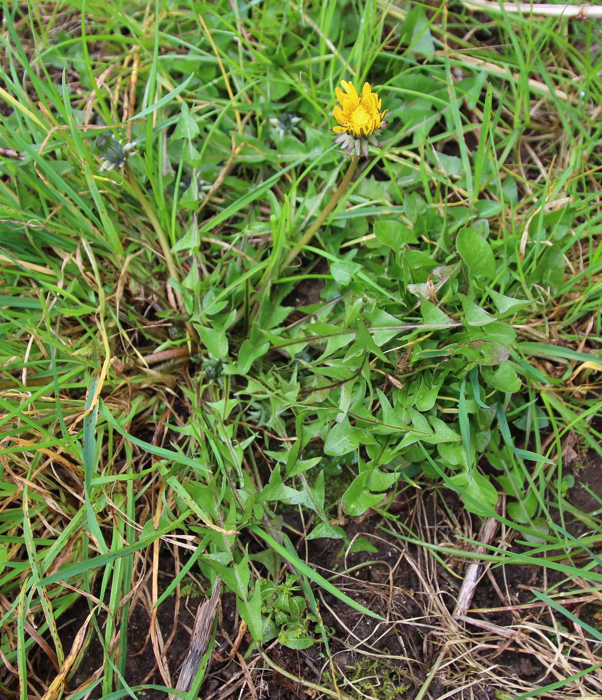 Annexe IMG_9930 - Copie 2.jpg