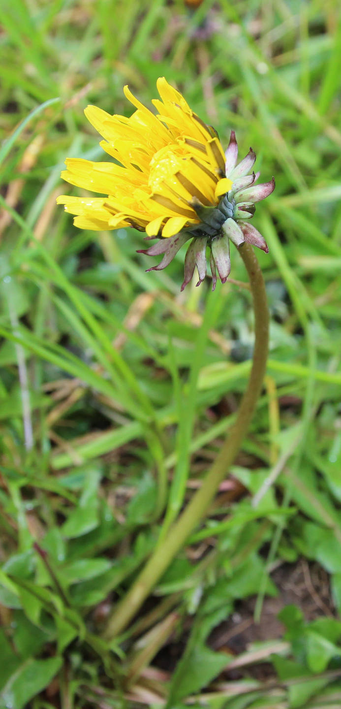 Annexe IMG_9939 copie.jpg