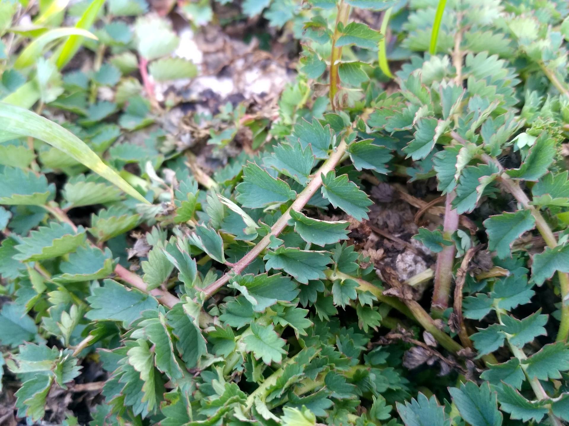 Annexe IMG_20180327_191125_HDR.jpg