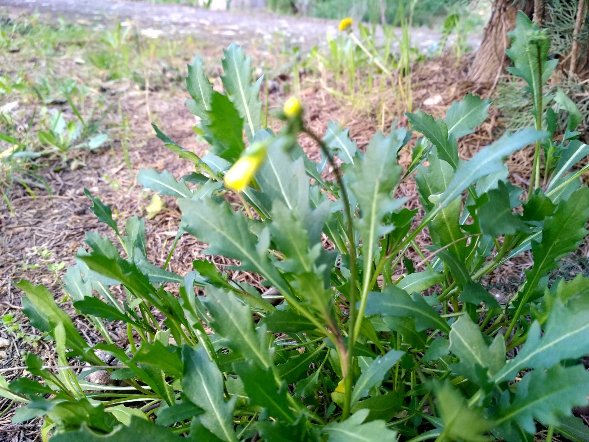 Annexe IMG_20180327_191354_HDR.jpg