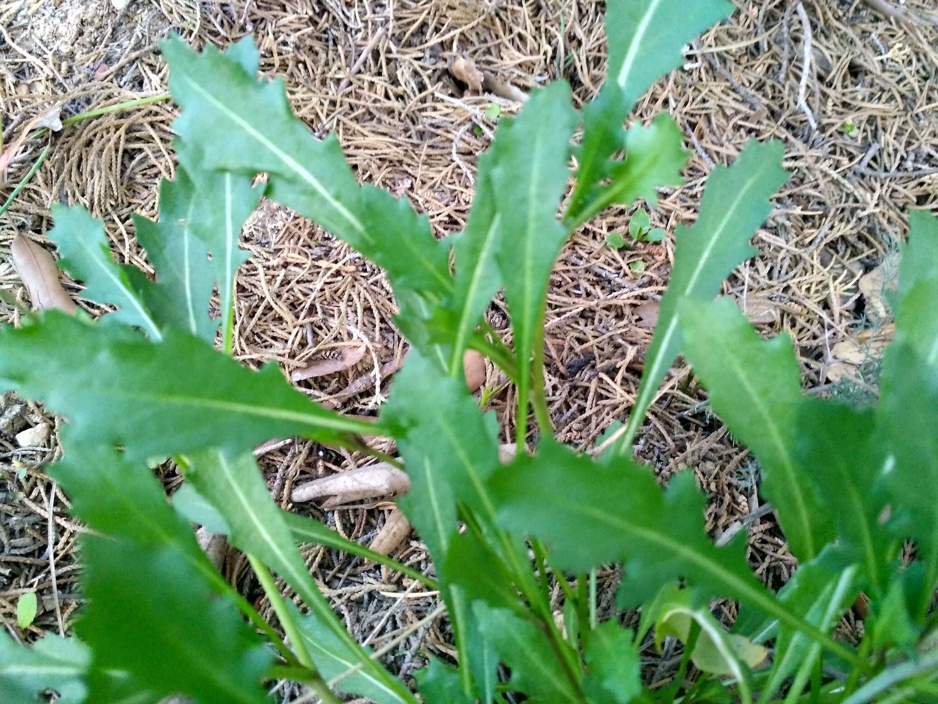 Annexe IMG_20180327_191411_HDR.jpg