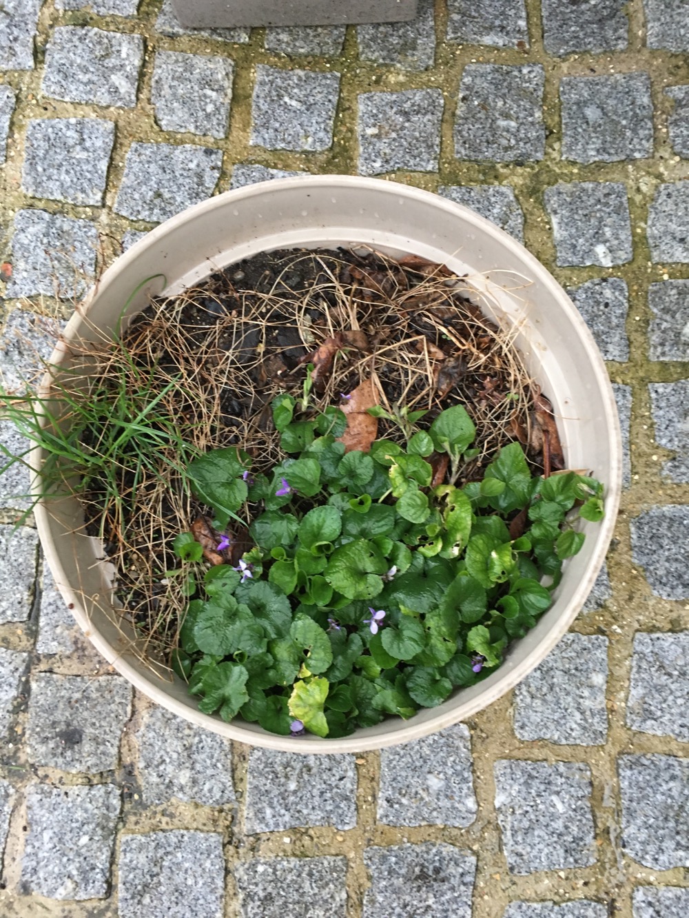 Annexe 8C67D4B5-6BCC-4D24-B572-30E14ABF8630.jpeg