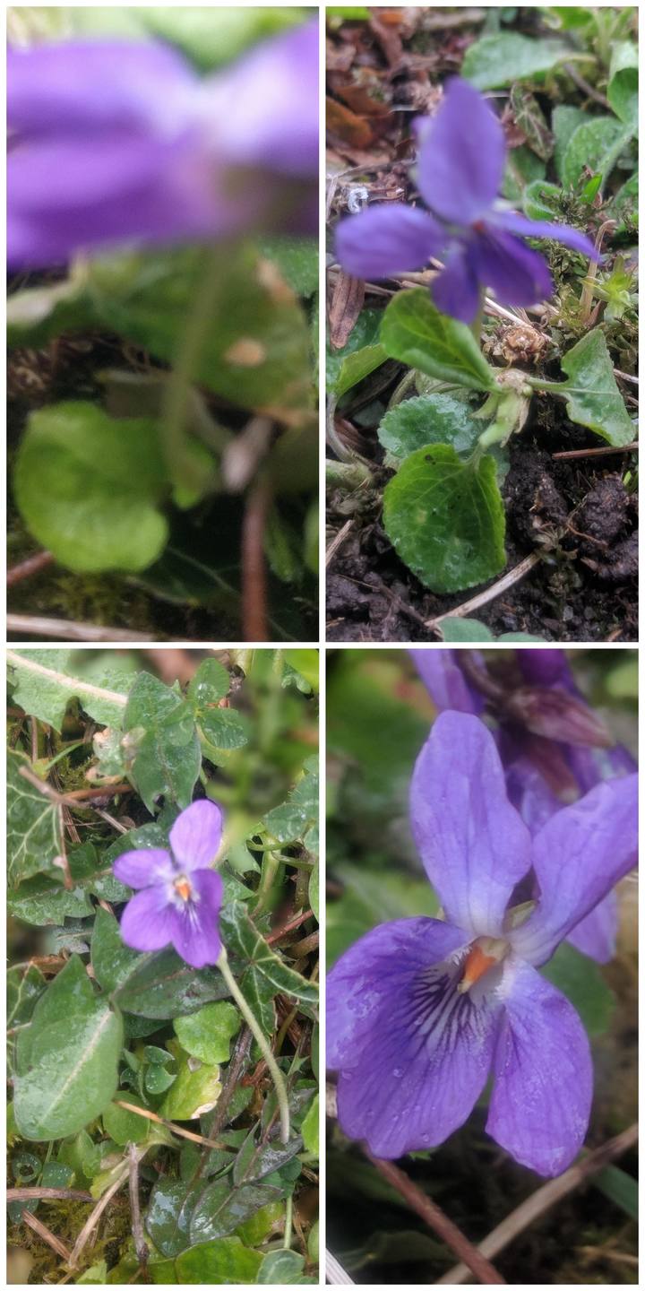 Annexe PSX_20180327_203425.jpg