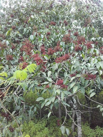 Annexe vue d ensemble .jpg