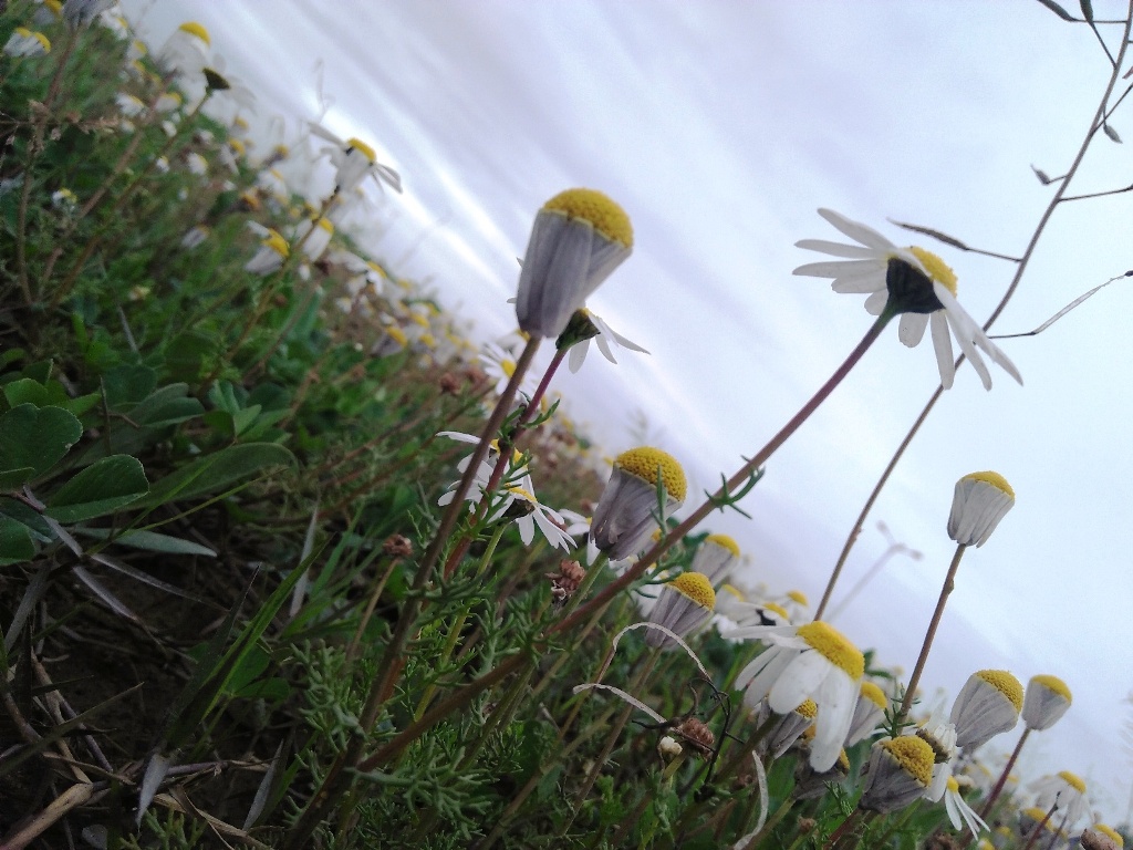 Annexe IMG20180307094725.jpg