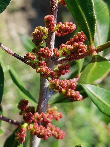 Annexe 20180327_110323-382x509.jpg