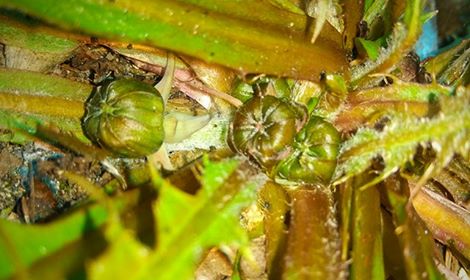 Annexe 29550684_10160260814010083_1176039218_n.jpg