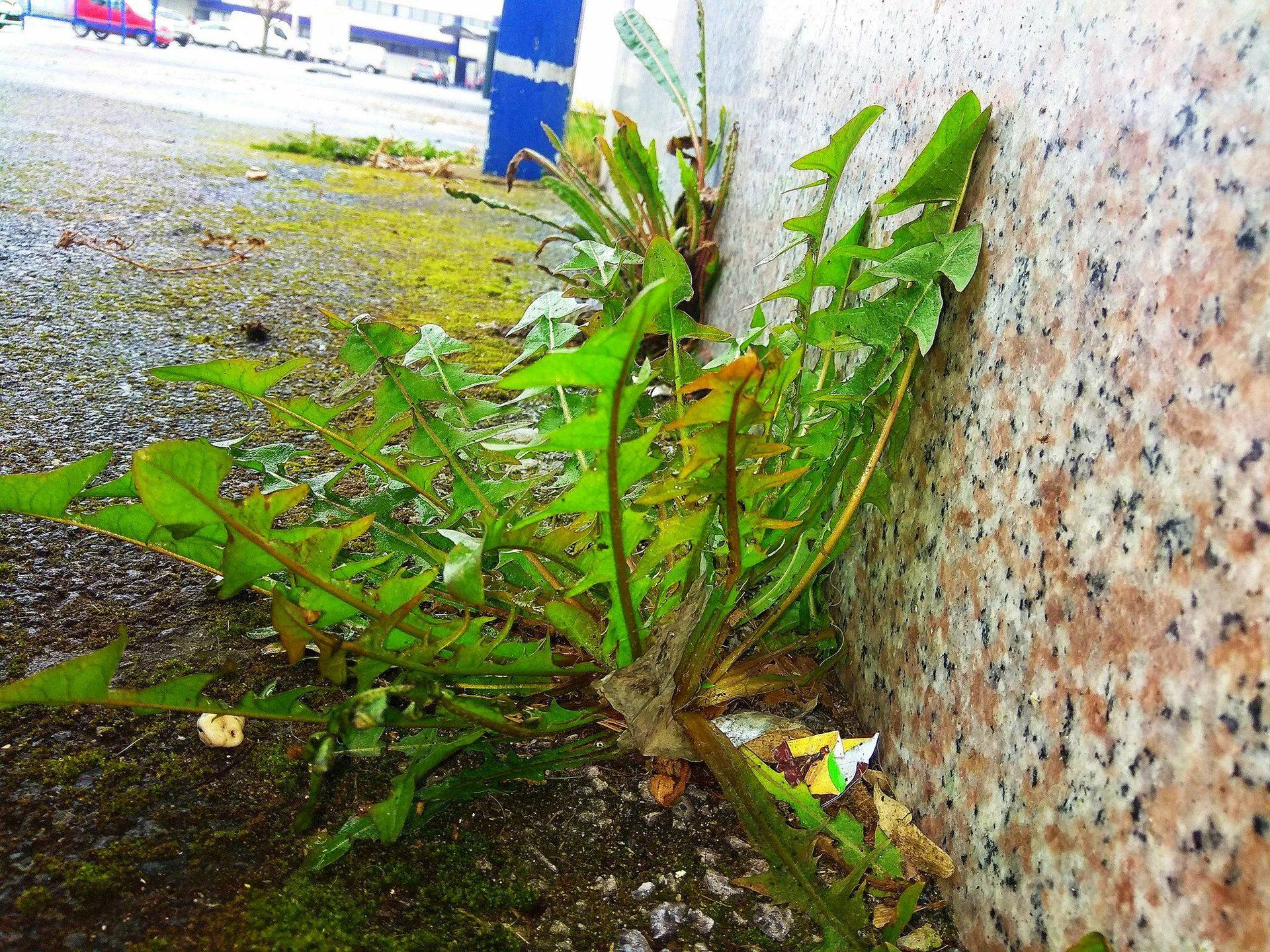 Annexe 29680817_10160260804080083_1095695078_o.jpg