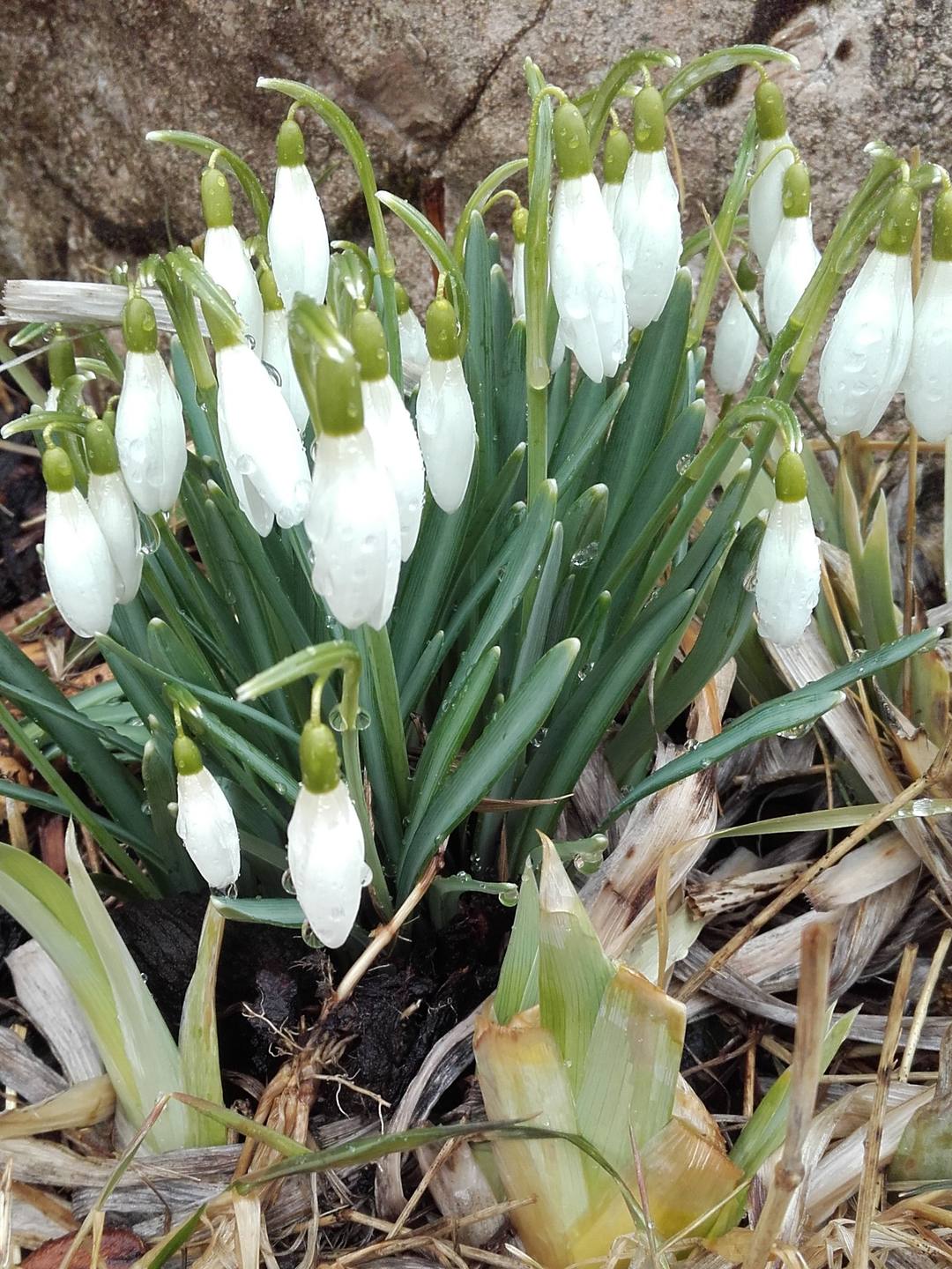 Annexe 20180328_114925.jpg