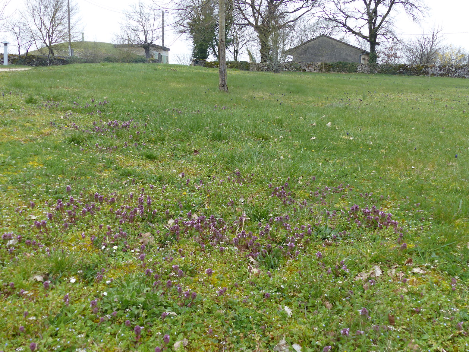 Annexe P1050779 b.JPG