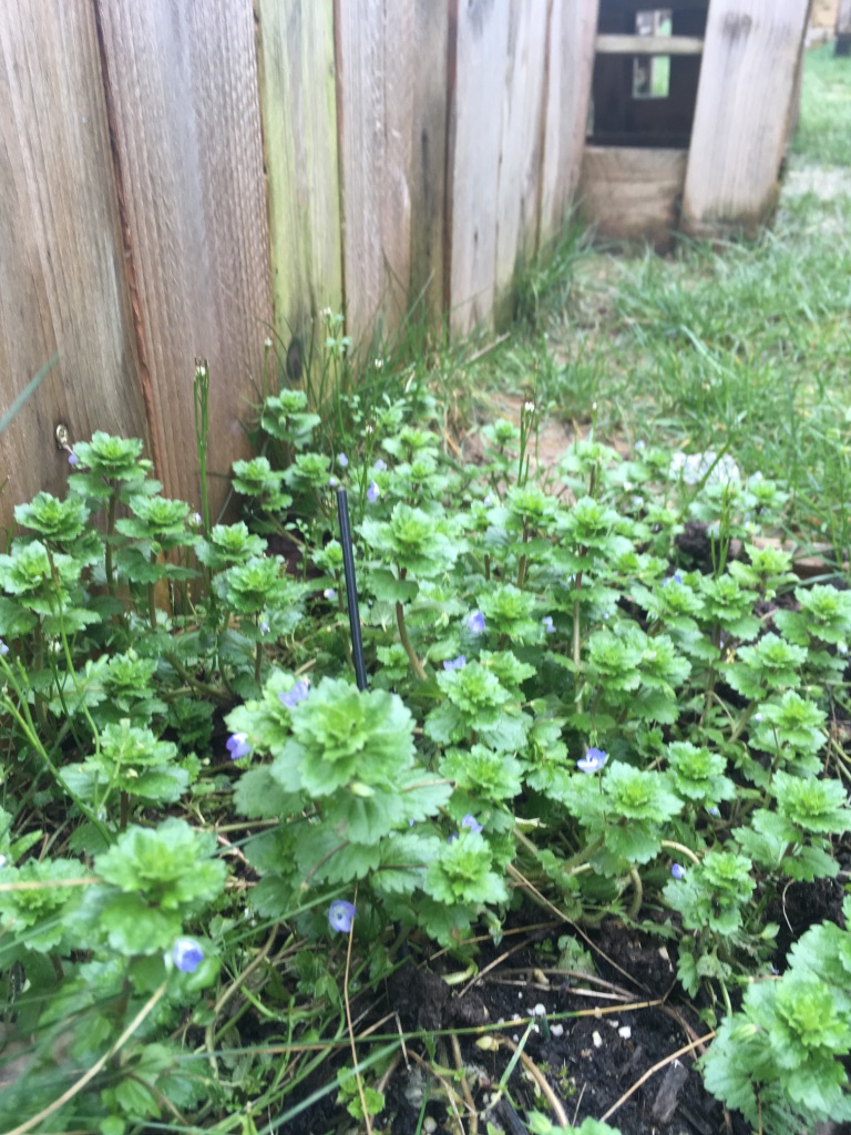 Annexe UNADJUSTEDNONRAW_thumb_cd33.jpg