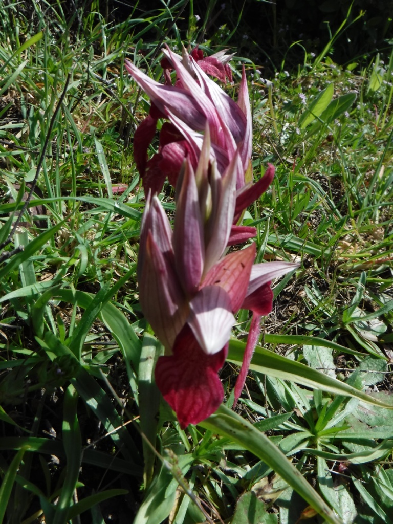 Annexe thumb_DSCF1298_1024.jpg